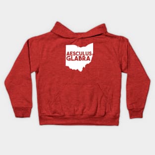 Ohio - Aesculus Glabra Kids Hoodie